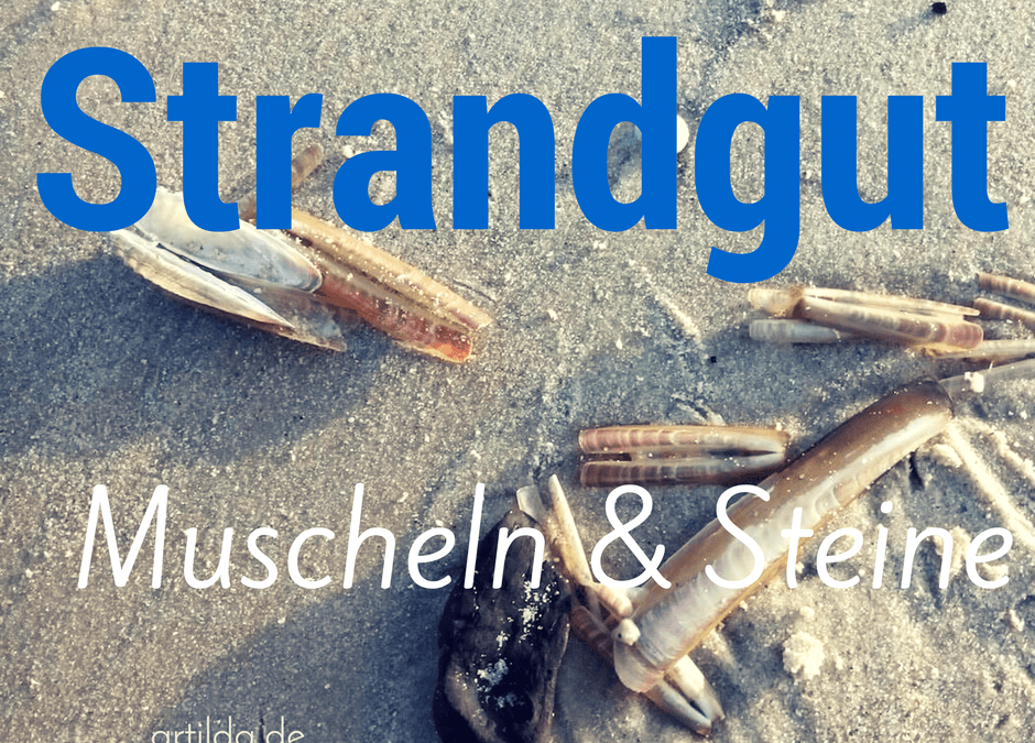 Maltipp: Strandgut – Muscheln oder Steine malen